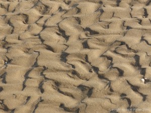 Natural patterns in beach sand