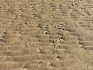 Natural patterns in beach sand