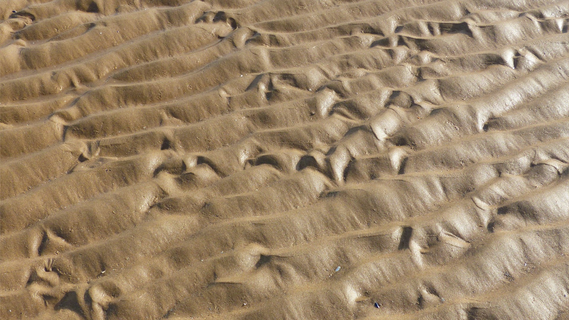 Natural patterns in beach sand