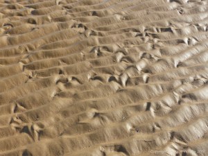 Natural patterns in beach sand