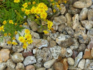 Beach stones with natural holes