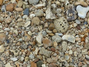 Beach stones with natural holes