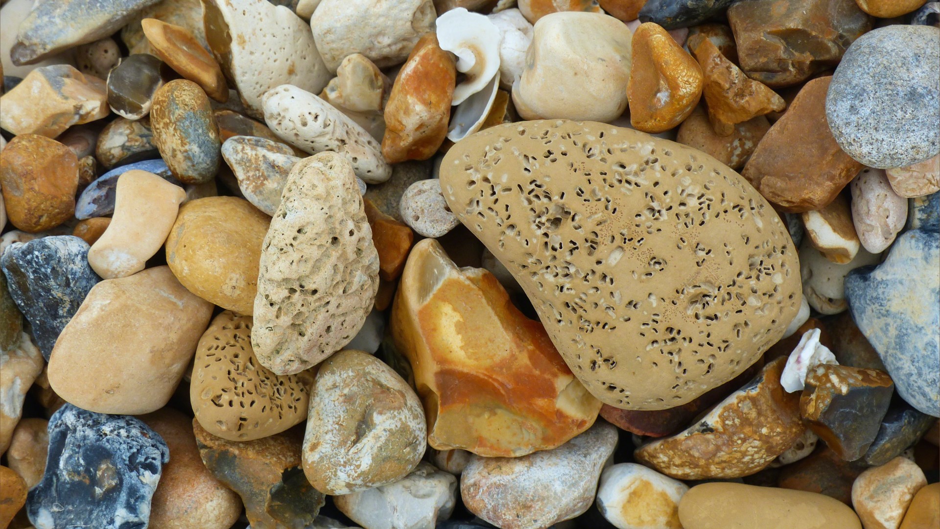 Beach stones with natural holes