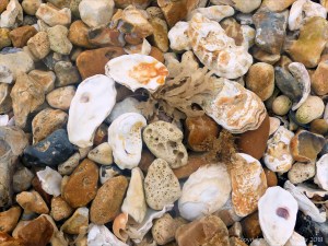 Beach stones with natural holes