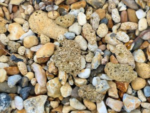 Beach stones with natural holes