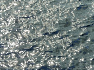 Rippled water with reflected light patterns
