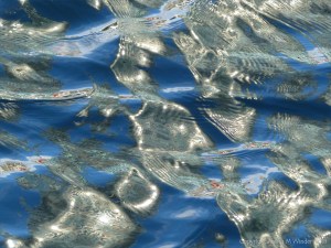Rippled water with reflected light patterns