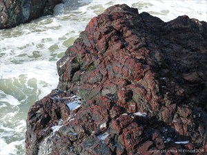 Details of rock texture and pattern at Kynance Cove