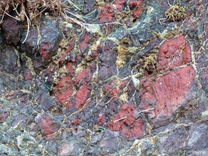 Details of rock texture and pattern at Kynance Cove