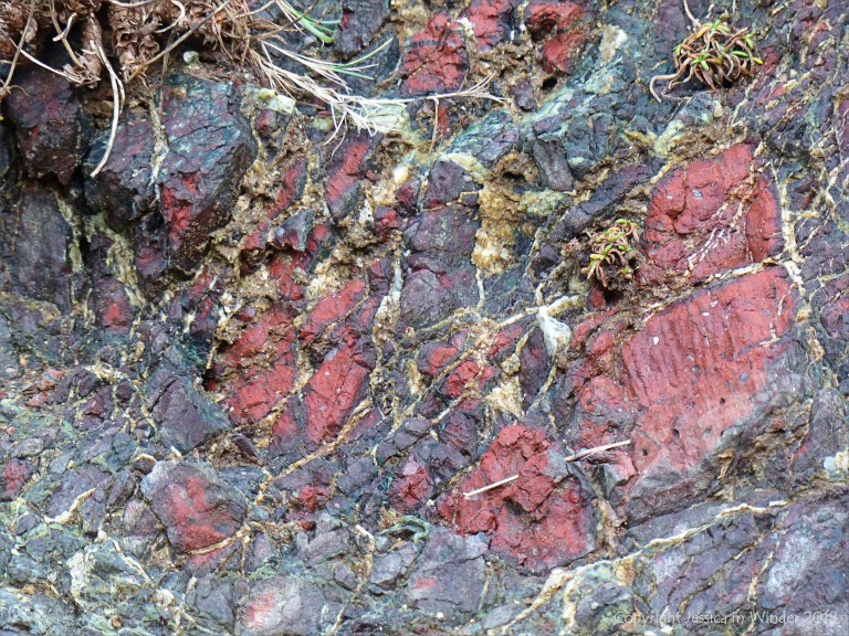 Details of rock texture and pattern at Kynance Cove