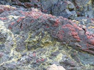 Details of rock texture and pattern at Kynance Cove