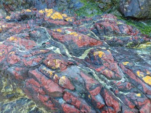 Details of rock texture and pattern at Kynance Cove