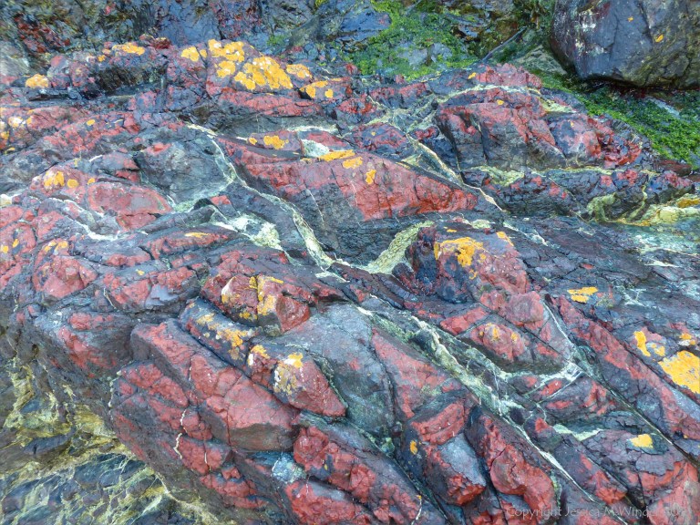 Details of rock texture and pattern at Kynance Cove