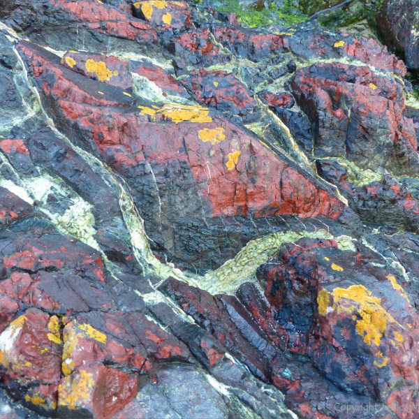 Details of rock texture and pattern at Kynance Cove