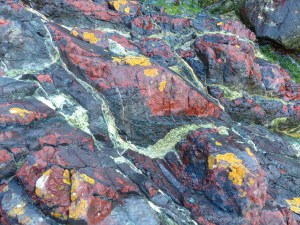 Details of rock texture and pattern at Kynance Cove