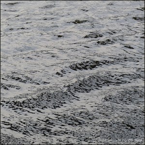 Natural patterns on flowing water