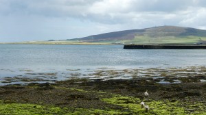View looking east along the seashore at Finstown