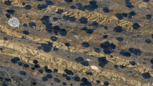 Close -up of rock pattern on the beach at Finstown