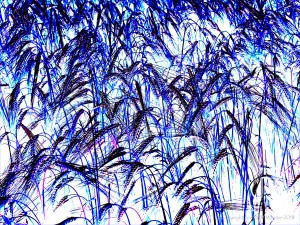 Design with blue barley motif