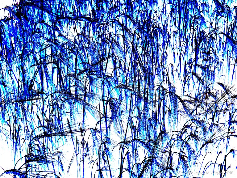 Design with blue barley motif