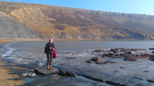 Chapmans Pool 1 View