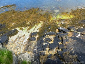 Looking down to the shore at Broch of Gurness at Point of Hellia in Orkney