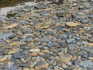 Beach stones at Point of Hellia in Orkney