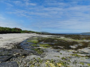View looking westwards on the beach at Grit Ness