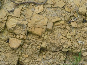 Crumbling flagstone bedrock at the head of the shore at Grit Ness