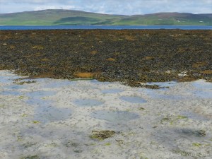 View looking from Grit Ness seashore north towards Rousay