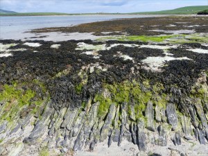 West face of old stonework pier at Grit Ness in Orkney