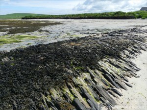 West slopingface of old stonework pier at Grit Ness in Orkney