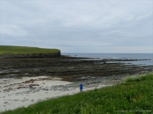 View looking southeast to Point of Snusan at Birsay