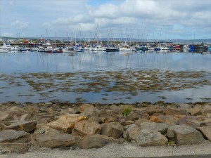 View from a walk around Kirkwall Harbour in Orkney