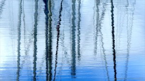Reflection of rigging on water