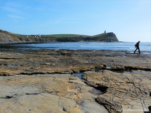 Rock pavement with natural patterns on the seashore