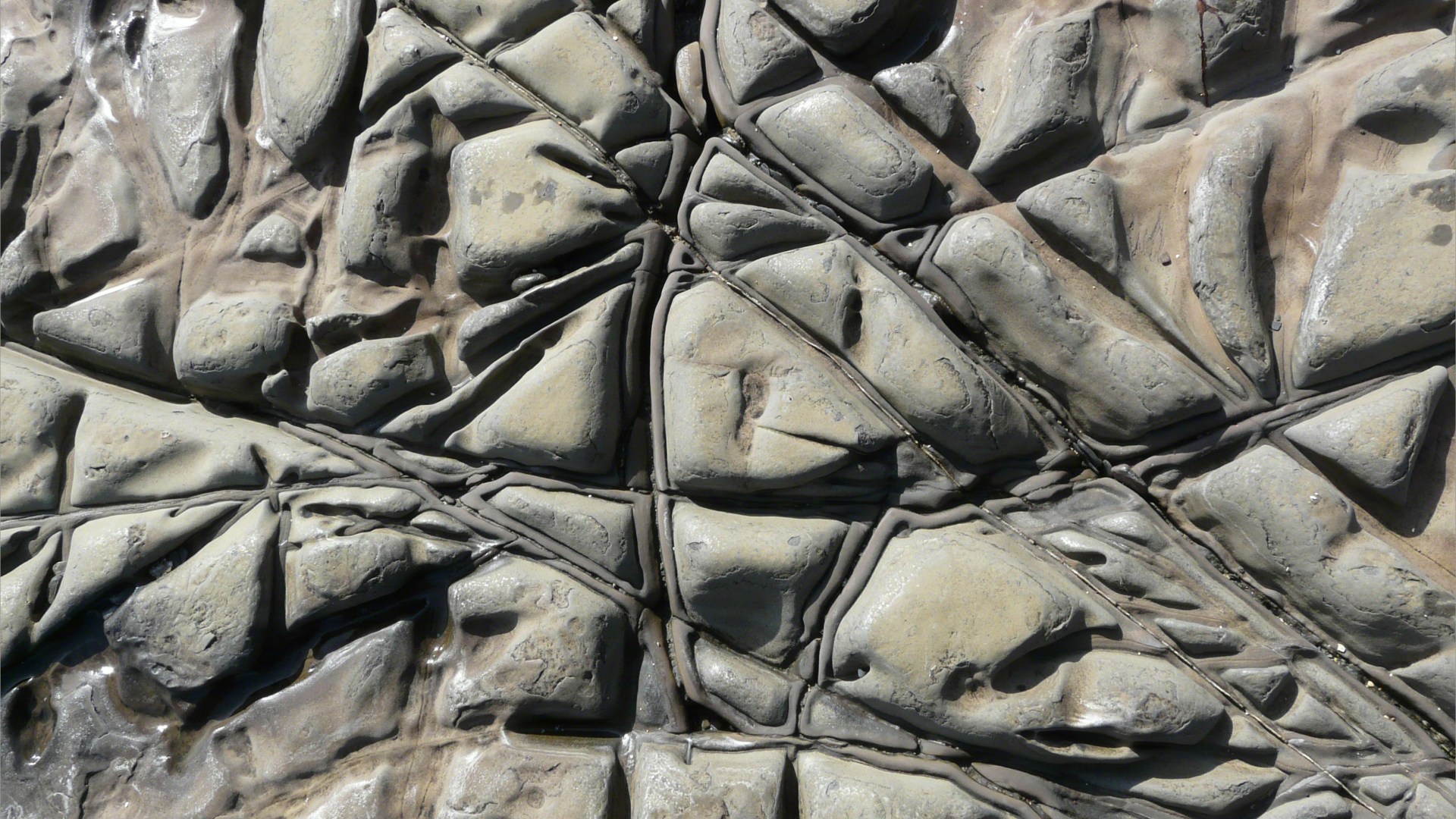 Natural pattern of cracks and crevices in a rock platform