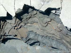 Pattern in the rocks on Monmouth Beach