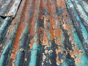 Chapmans Pool 8 Boathouse Roof