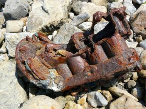 Chapmans Pool 9 Flotsam