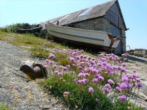 Chapmans Pool 10 Boathouse