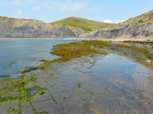 Chapmans Pool 12 View