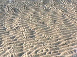 Natural patterns of sand ripples at Studland Beach