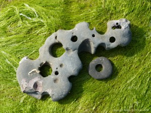 Piece of rock with holes made by seashore creatures