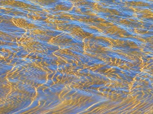 Sun-lit water ripples at Studland Beach