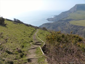 Chapmans Pool 17 Steps towards beach