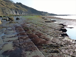 Chapmans Pool 18 Rock Pavement
