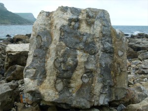 Chapmans Pool 19 Beach Boulder