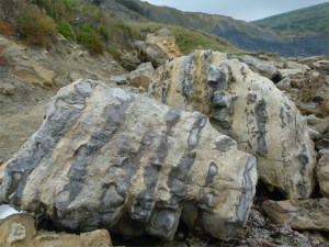 Chapmans Pool 20 Beach Boulders