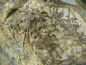 Chapmans Pool 21 Weathering Boulder